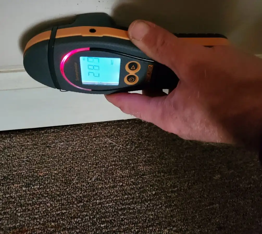 Moisture detection at baseboard during Sewage Cleanup & Sanitation in Savannah